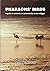 Pharaohs' birds: A guide to ancient and present-day birds in Egypt