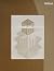 Administrative Office Management Workbook by Pattie Gibson by Pattie Gibson