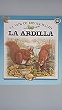 LA Ardilla