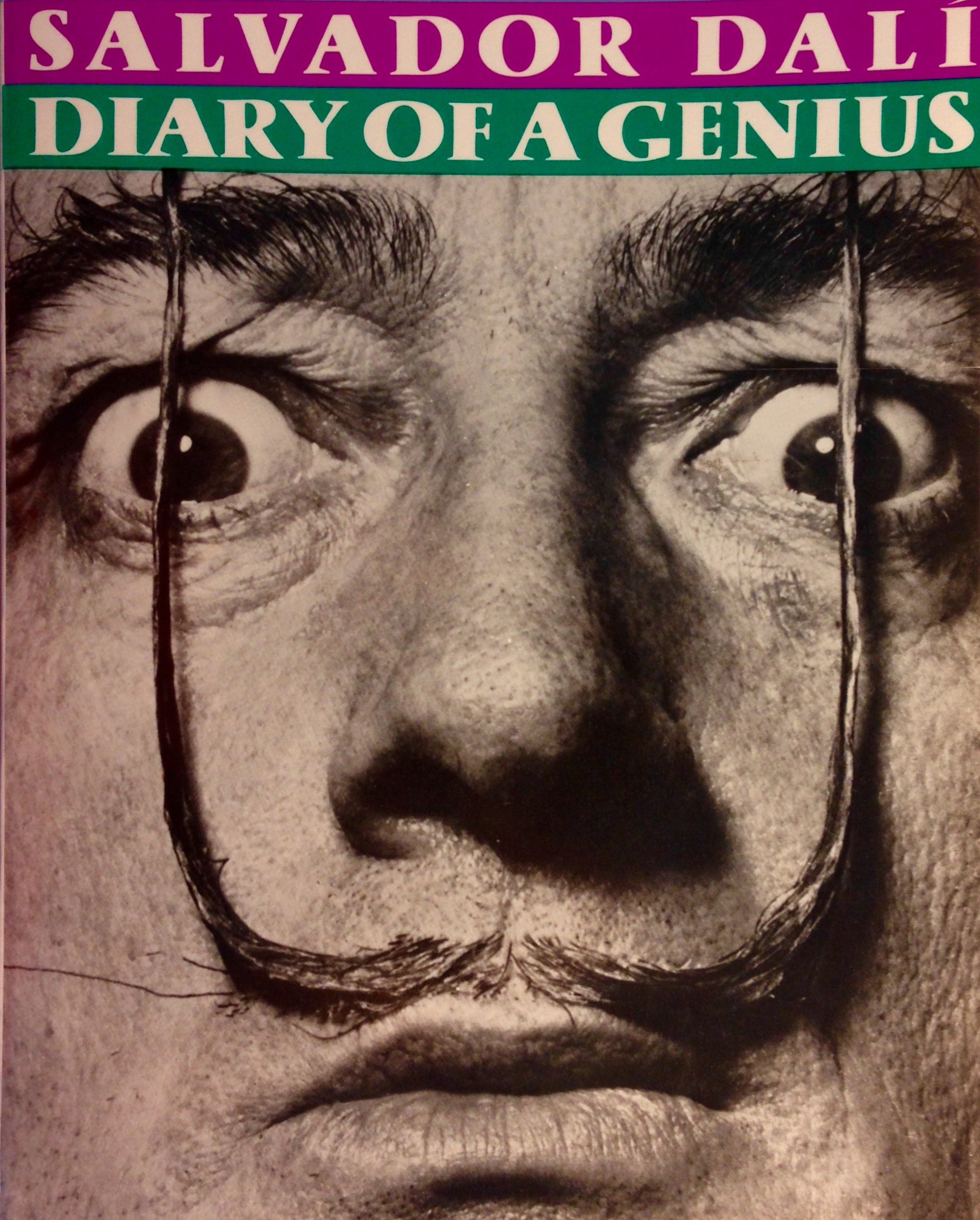 Diary of a Genius