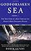 Godforsaken Sea: The True Story of a Race Through the World's Most Dangerous Waters by Derek Lundy (2000-06-06)