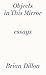 Objects in This Mirror by Brian Dillon (2014-05-01)