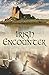 Irish Encounter Paperback April 29, 2015