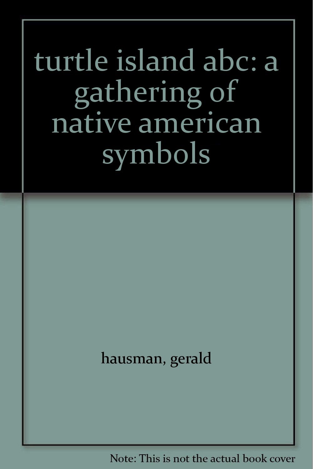 Turtle Island ABC: A Gathering of Native American Symbols (Hardcover)