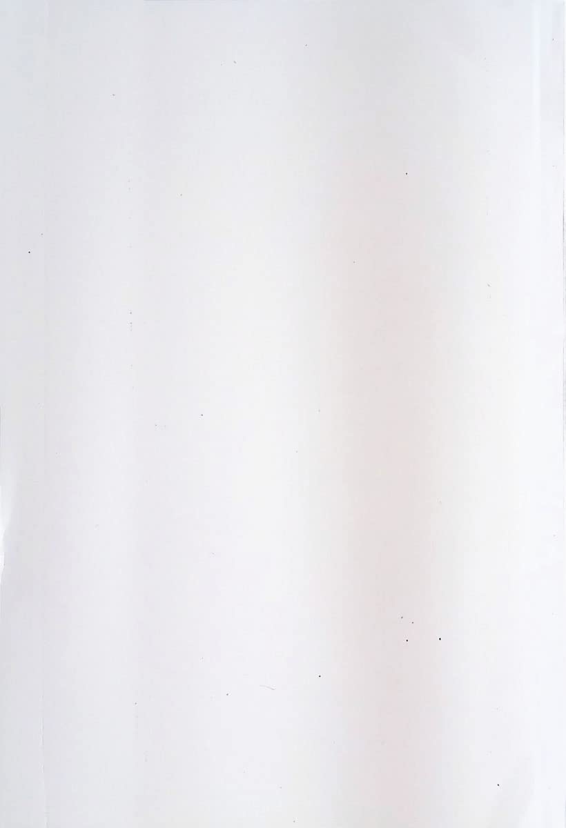 How the Order Creates War and Revolution (The Order Series, Vol 2)