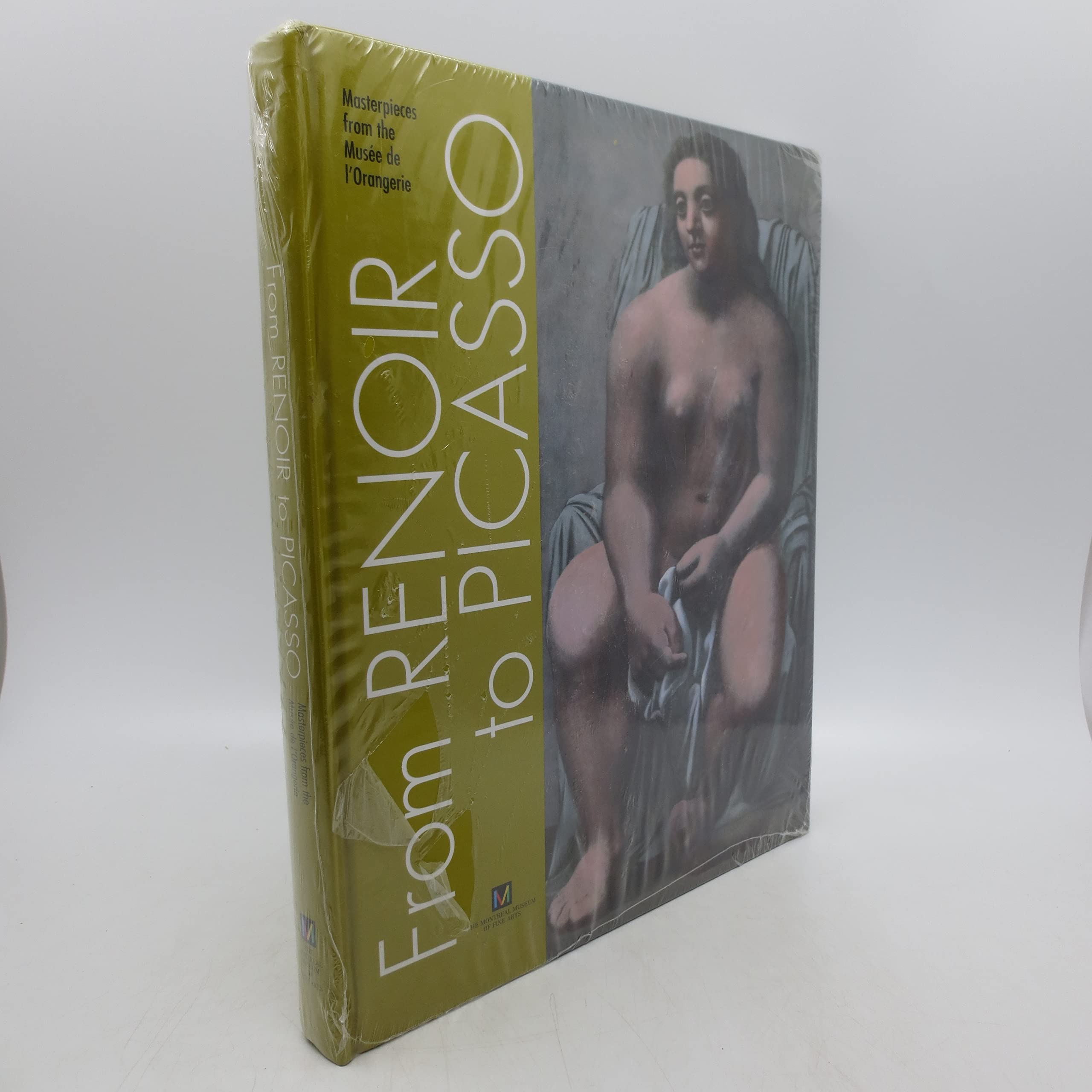 From Renoir to Picasso: Masterpieces From the Mus?e De L'Orangerie (Hardcover)