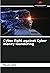 Cyber fight against Cyber money laundering