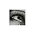 Man Ray, the Photographic I...