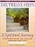 The Twelve Steps - A Spiritual Journey: A Working Guide for Healing Damaged Emotions Based on Biblical Teachings by Friends in Recovery