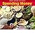 Spending Money by Rissman, Rebecca ( Author ) ON May-14-2008, Hardback