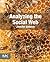 Analyzing the Social Web by Jennifer Golbeck (2013-03-26)