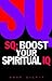 Increase Your Spiritual IQ