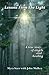 Lessons from the light by John Mulkey (2012-09-17)