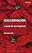 Schleiermacher: A Guide for the Perplexed (Guides for the Perplexed) by Theodore M. Vial (2013-08-01)