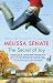 The Secret of Joy by Melissa Senate (2009-11-17)