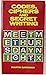 Codes Ciphers & Secret Writings