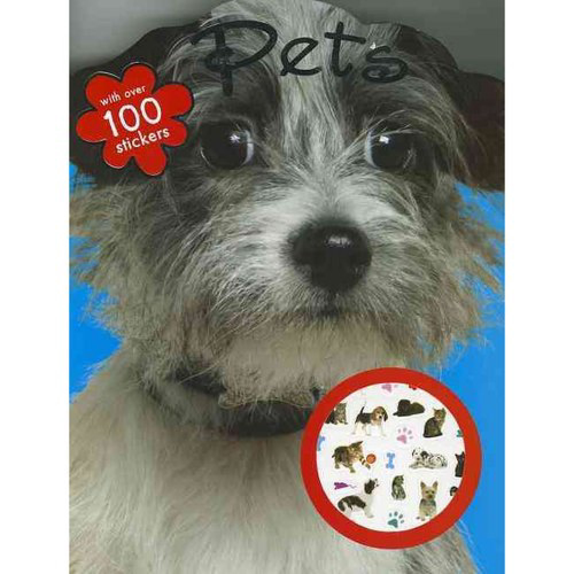 Pets Coloring Book (Paperback)