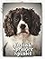 English Springer Spaniel: D...