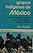 Grupos indígenas de México: ubicación geográfica, organización social y política, economía, religión y costumbres