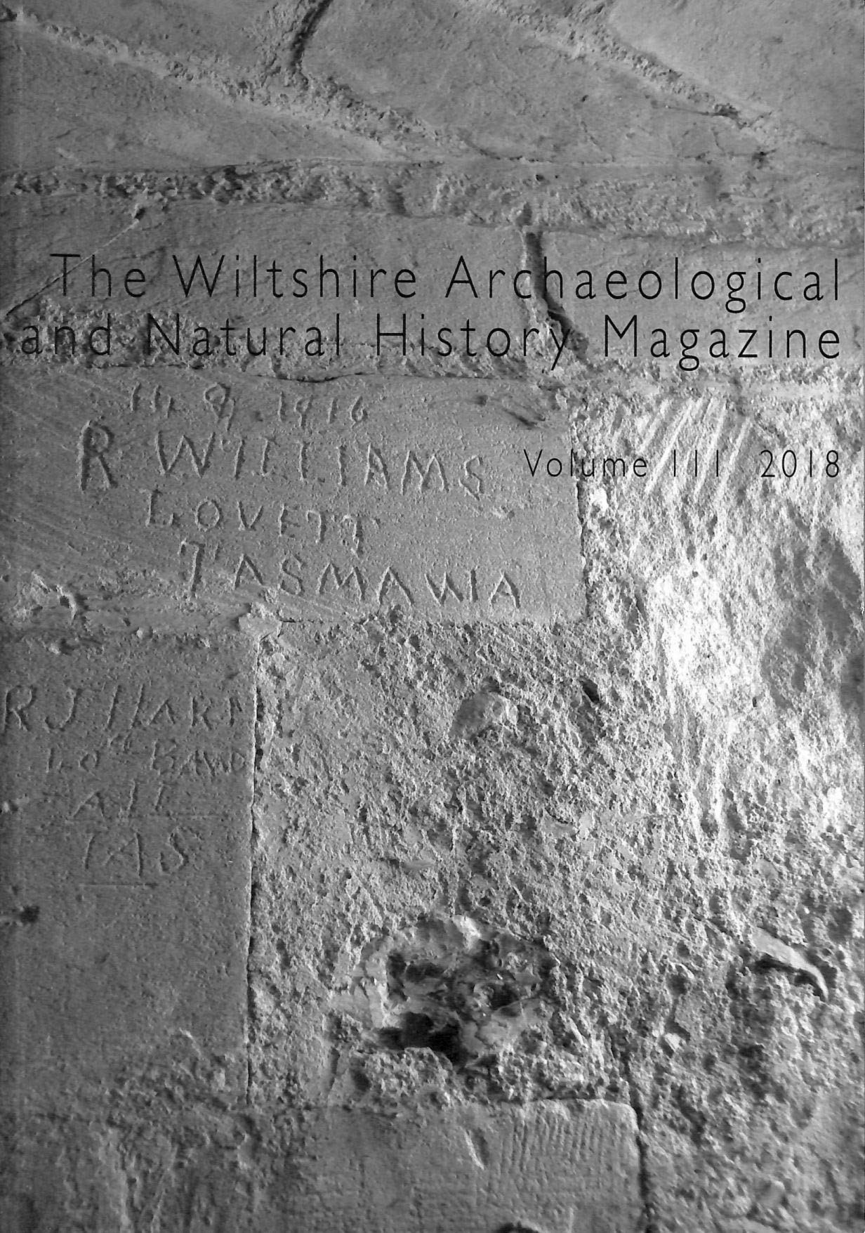 Wiltshire Studies: The Wiltshire Archaeological And Natural History Magazine Volume 106 2013 (Paperback)