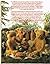 Teddy Bears by Philippa Waring (1988-03-03)