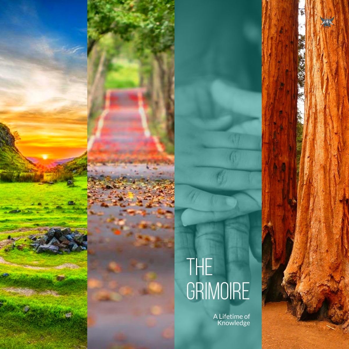 Grimoire: Traditional Hereditary Witchcraft (Hekate's Finishing School Core Curriculum Book 14)