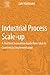 Industrial Process Scale-up: A Practical Innovation Guide from Idea to Commercial Implementation by Jan Harmsen (2013-05-20)