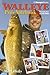 The Walleye Pro's Notebook by Mark Hicks (2007-01-03)