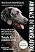 [(Animals in Translation: Using the Mysteries of Autism to Decode Animal Behavior)] [Author: Speaker Dr Temple Grandin] published on (January, 2006)