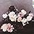 Power Corruption & Lies (2 ...