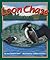 Loon Chase by Jean Heilprin Diehl (2010-03-10)