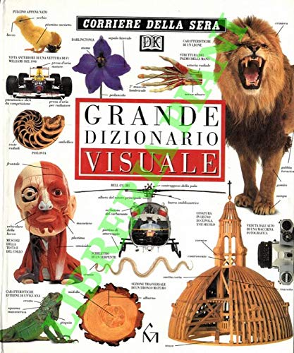 Grande dizionario visuale. (Hardcover)