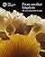 From Another Kingdom: The Amazing World of Fungi by Max Coleman (Editor), Lynne Boddy (Editor) (1-Aug-2010) Paperback