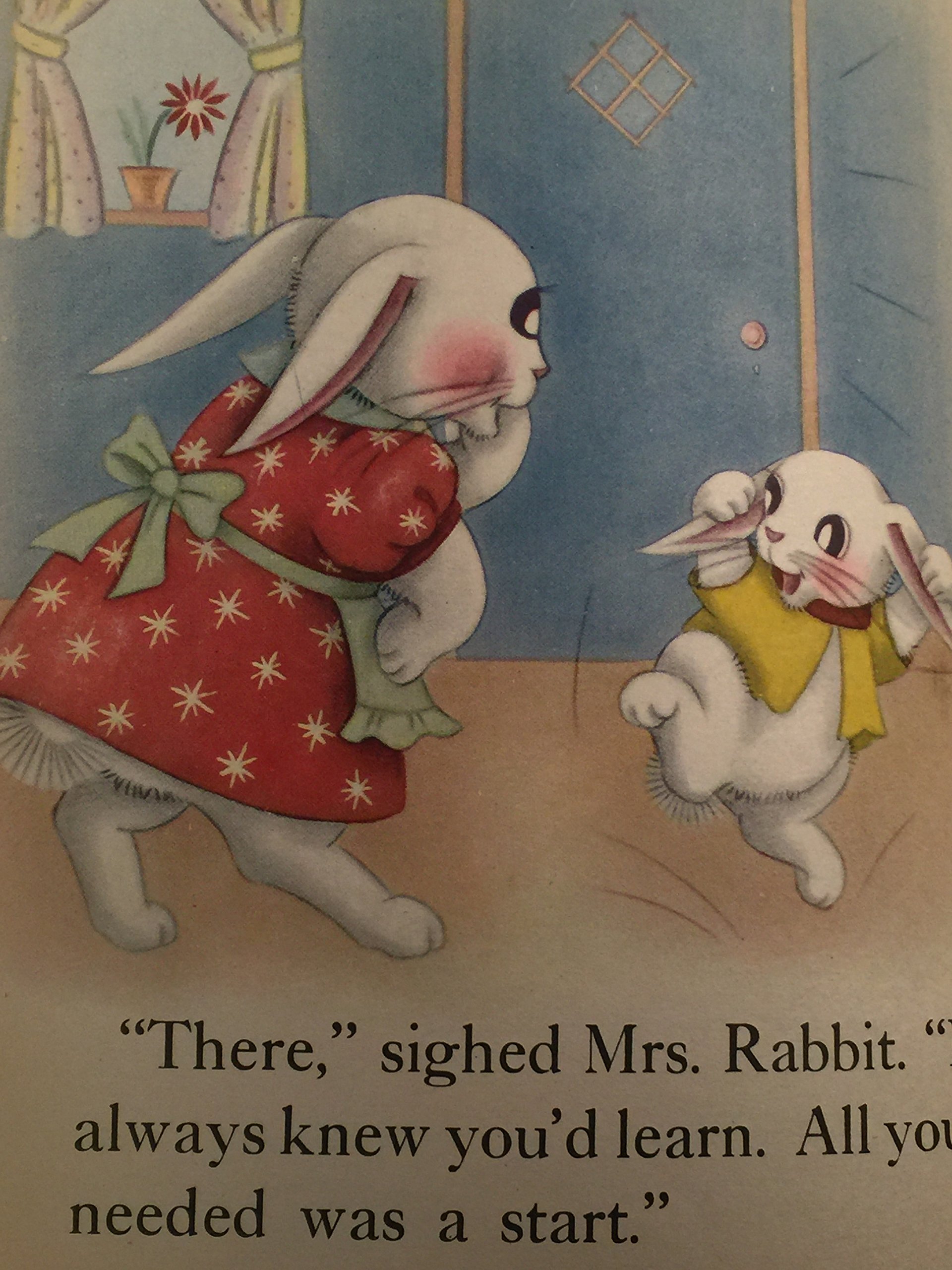 Bunny Polka Dot (Hardcover)