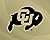 University of Colorado