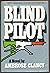 Blind pilot