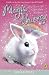 Magic Bunny: Chocolate Wish...