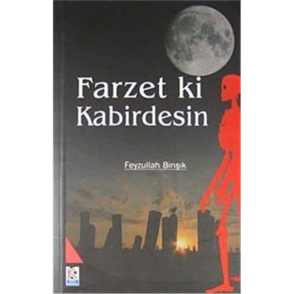 Farzet ki Kabirdesin (Paperback)