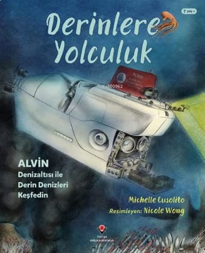 Derinlere Yolculuk (Paperback)