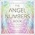 The Angel Numbers Book: How to Understand the Messages Your Spirit Guides are Sending You