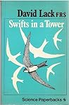 Swifts in a Tower