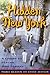 Hidden New York: A Guide to Places That Matter by Steven J. Zeitlin (2006-10-05)