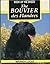 The Bouvier Des Flandres