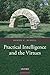 Practical Intelligence and the Virtues by Daniel C. Russell (2009-06-22)