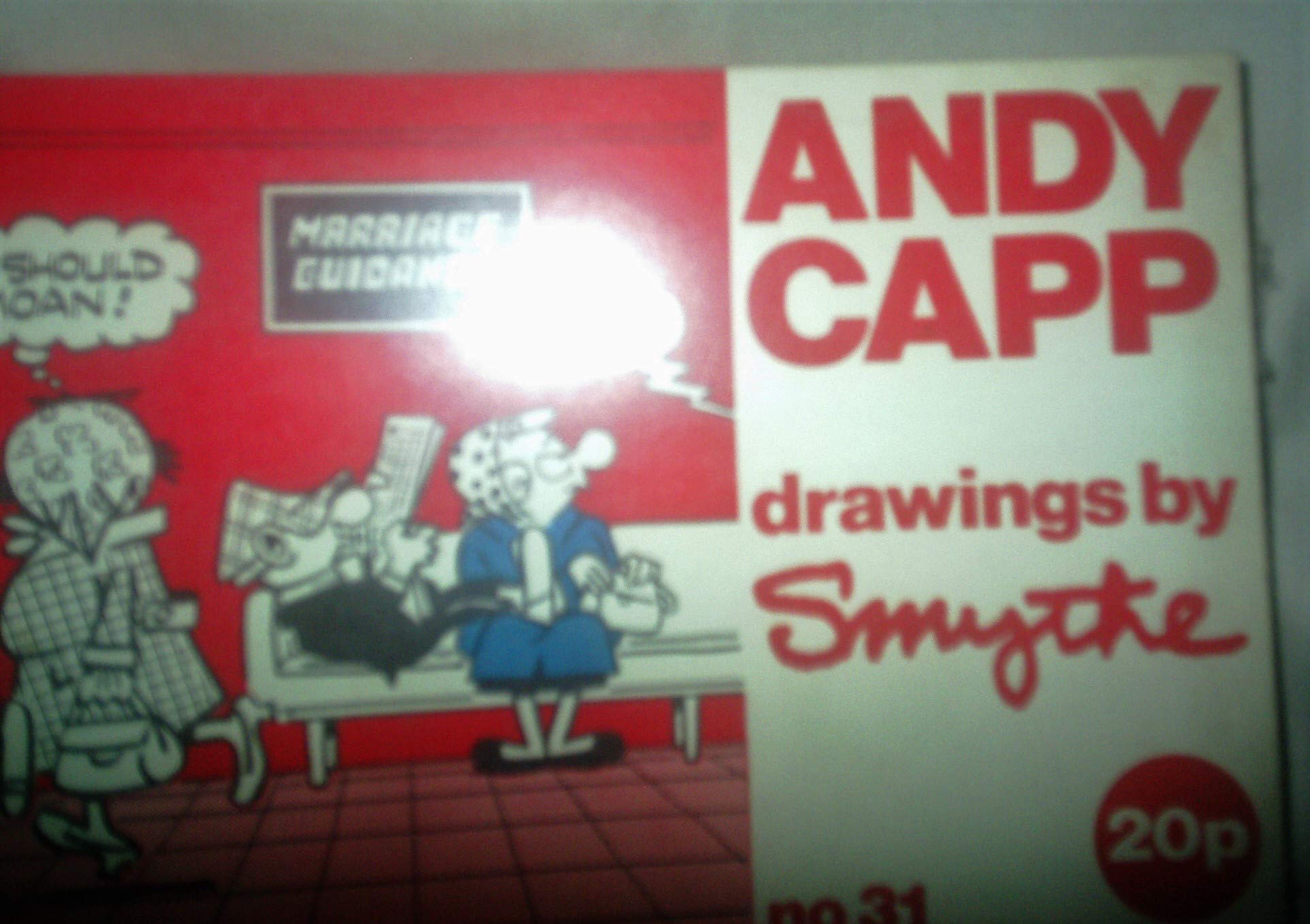 Andy Capp (A Daily Mirror Book, No. 31)