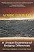 Conflict Across Cultures: A Unique Experience of Bridging Differences by Michelle LeBaron, Venashri Pillay (October 10, 2006) Paperback