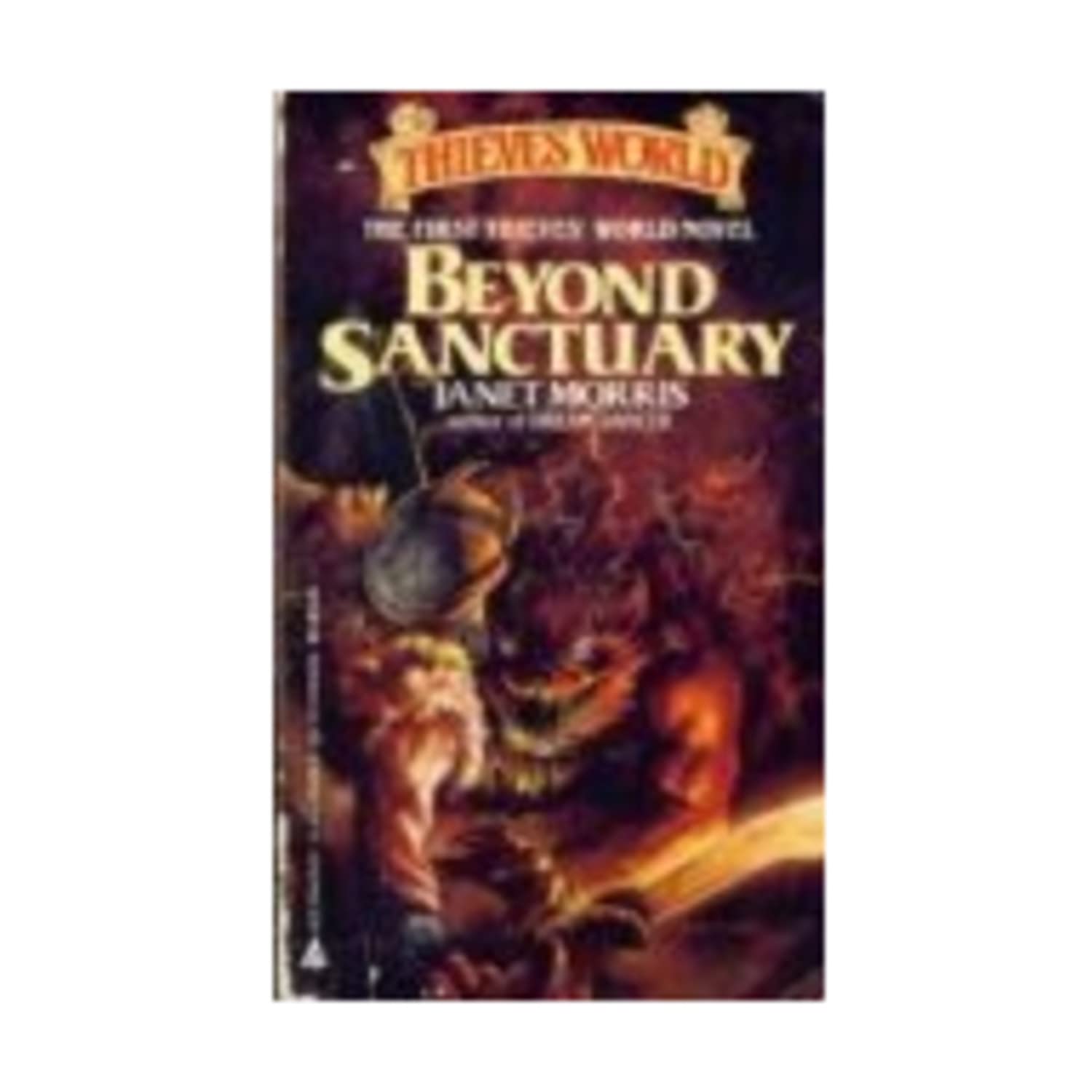 Beyond Sanctuary: Book One of the Thieves' World Series