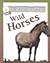 The Secret World of Wild Horses