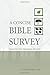 A Concise Bible Survey: Tracing the Promises of God Paperback – Box set, November 28, 2014
