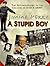 A Stupid Boy: The Autobiography of the Creator of Dad's Army by Perry, Jimmy (2002) Hardcover